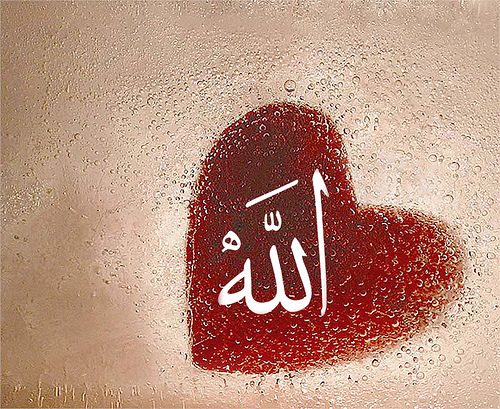 A heart filled with the love of God is a heart that finds peace and tranquility. God says: “Indeed, by the remembrance of God do the hearts find contentment.” [11:28] God promises those who believe and work righteousness that he will give them a life of goodness. He says: “Whoever [...]