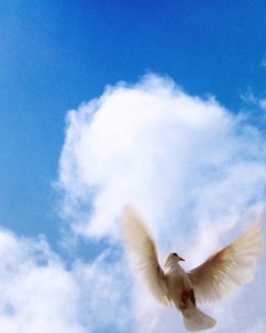 Faith