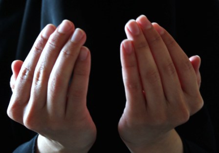 Do you have a sound heart and what does it truly mean to have that heart? Just ponder on what the Qur’an reveals about people’s hearts…