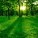 The Greatest Bounty of God: For Whom?