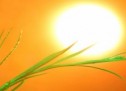 Spiritual Virtues and Benefits of Fasting