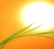 Spiritual Virtues and Benefits of Fasting