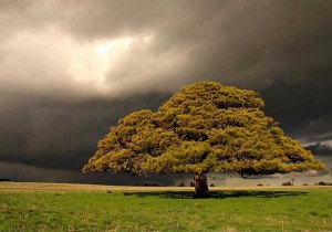 Concept of Faith in Islam