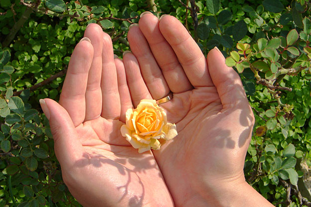 How to Love the Prophet
