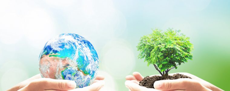 What Islam Offers the Earth?