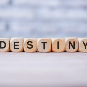 Your First Steps in Islam: Belief in Qada and Qadar