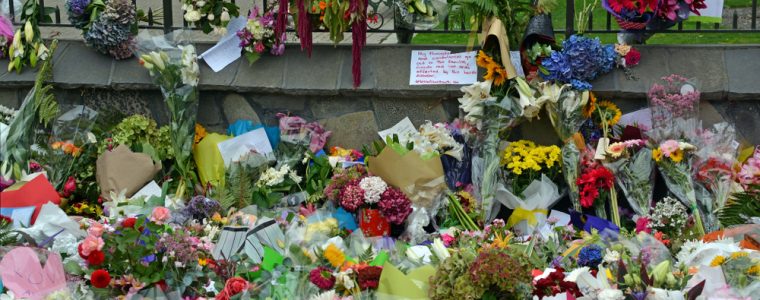 Thoughts on New Zealand Mosque Massacre