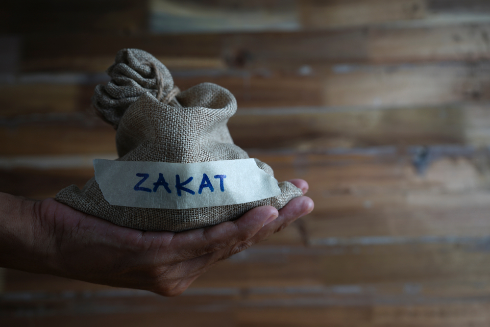 زكاة الاستثمار