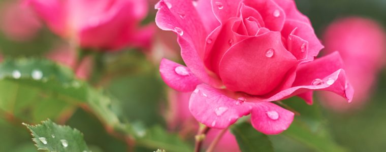 7 Remarkable Things about Khadijah, Wife of Prophet Muhammad