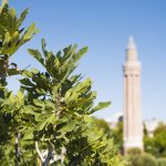 Some Basic Characteristics of Islamic Ideology (Part 3)