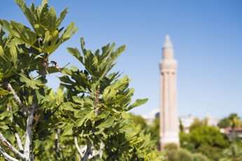 Some Basic Characteristics of Islamic Ideology (Part 3)