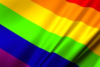 Is Homosexuality a Normal Behavior?
