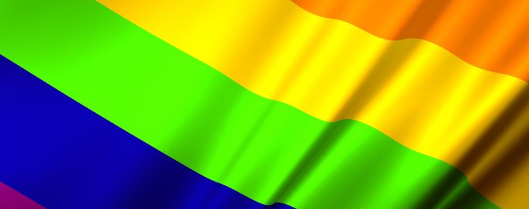 Is Homosexuality a Normal Behavior?