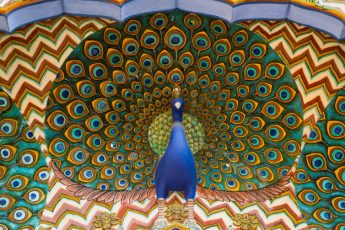 Gender and Islam: Reorienting Women’s Values