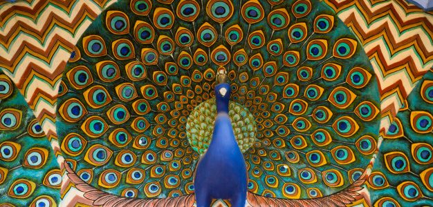 Gender and Islam: Reorienting Women’s Values