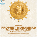 How Did Muhammad React to Personal Abuse? (E-Book)