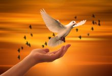 Your Trust in God (Tawakkul) Is Your Way to Happiness