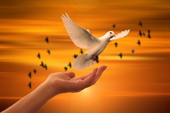 Your Trust in God (Tawakkul) Is Your Way to Happiness