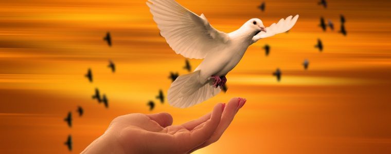 Your Trust in God (Tawakkul) Is Your Way to Happiness