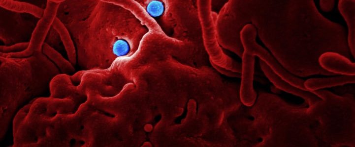 Coronavirus (COVID-19) and the Deluding Behavior of Man